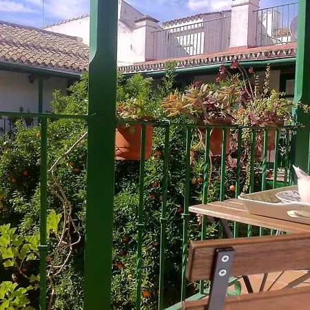 Apartment Tradicional Oasis Sevillano *