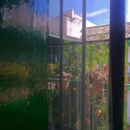 Apartment Tradicional Oasis Sevillano Seville